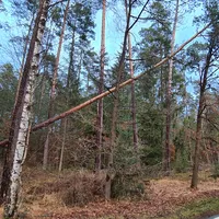 20220221_080543.jpg