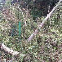 2017_08_18_einsatz_bild_06.jpg