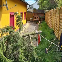 20210508_123222.jpg